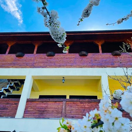 Casa Camelia Hotel Dubova Bagian luar foto