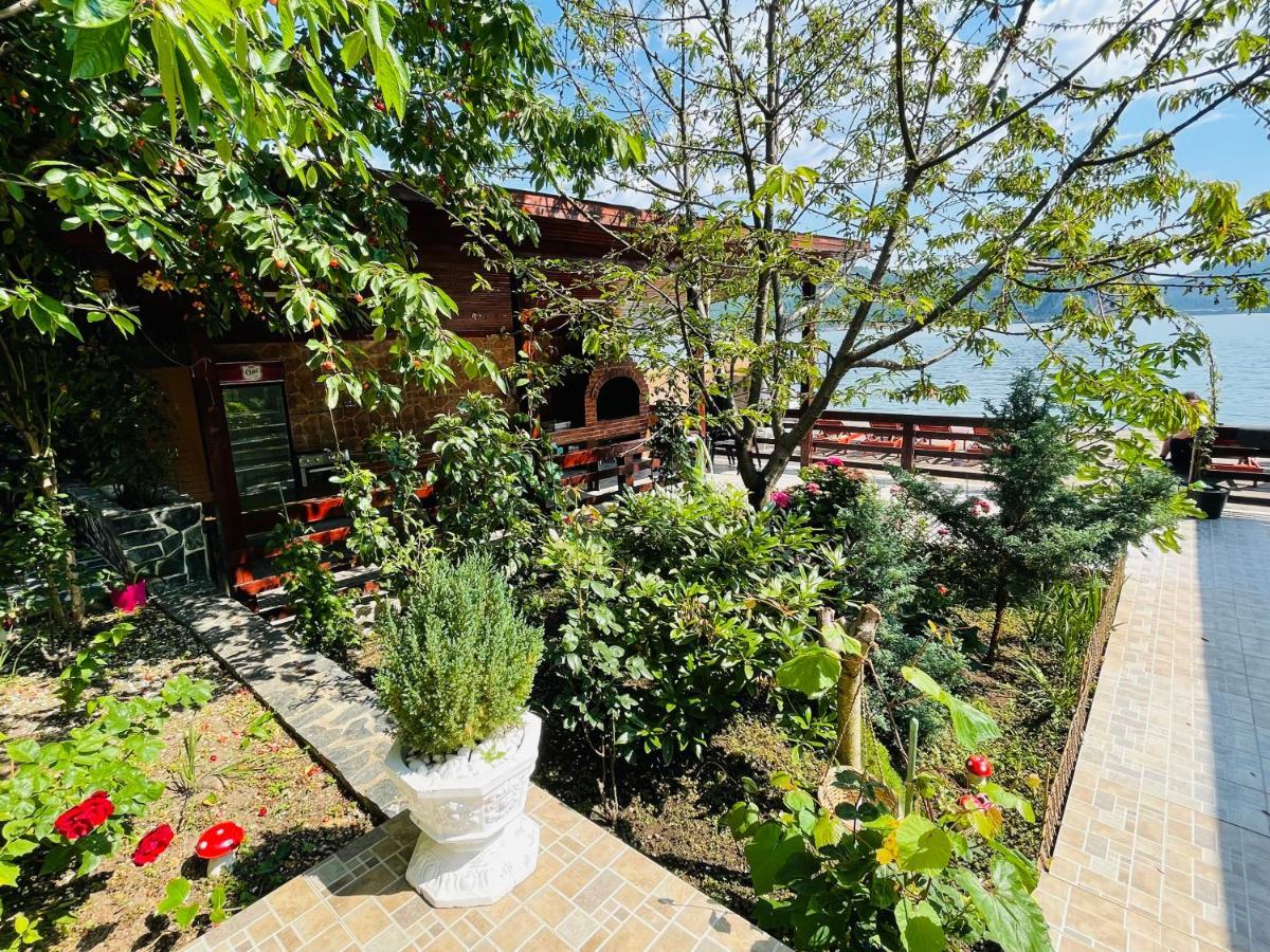 Casa Camelia Hotel Dubova Bagian luar foto